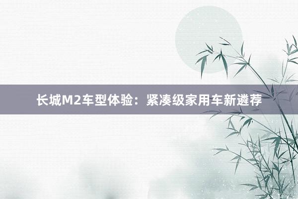 长城M2车型体验：紧凑级家用车新遴荐