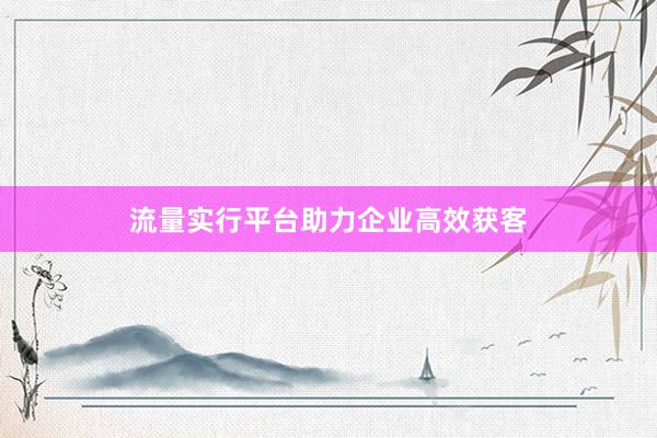 流量实行平台助力企业高效获客