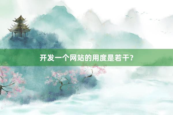 开发一个网站的用度是若干？