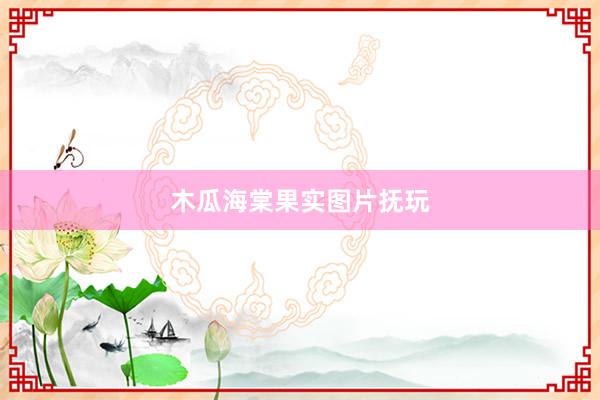 木瓜海棠果实图片抚玩